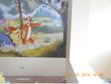 DSCN0710.jpg
