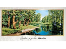 ���� � ���� 120�50 - 987���.