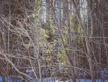 _DSC4663.jpg