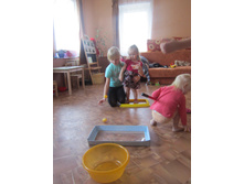 IMG_8775.JPG
