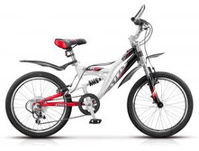 Stels ��������� ������������� STELS Pilot 250 20 - 6470�.jpg