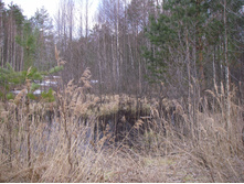 IMGP0276.JPG