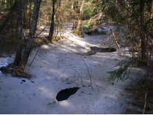 IMGP0301.JPG