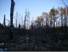 IMGP0384.JPG