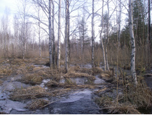 IMGP0393.JPG