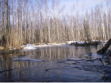 IMGP0394.JPG