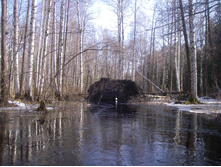 IMGP0403.JPG