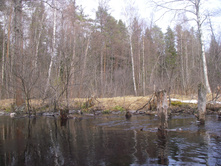 IMGP0407.JPG