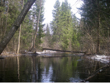 IMGP0410.JPG