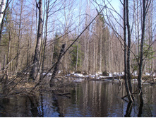 IMGP0345.JPG