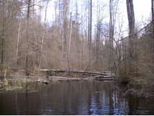 IMGP0280.JPG