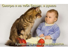 ir9ZjKIOgyo.jpg