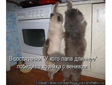 kEYf5D99XI8.jpg