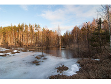 _A172282.jpg