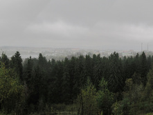 IMG_6169�.jpg