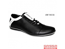 1450�. ������� AW-145-55