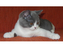 DSCN6259.JPG