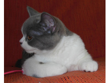 DSCN6256.JPG