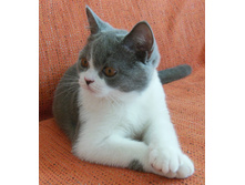 DSCN6271.JPG