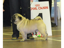DSC_012400.jpg