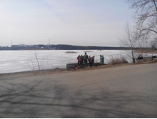 IMG_20140406_124501.jpg