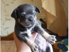 20140407_151856.jpg