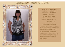 290013(600).jpg