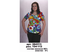 284313 (600-00).jpg