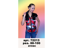 72213(530-00).jpg