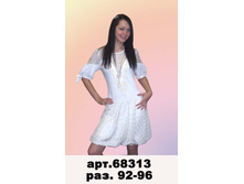 68313(400).jpg