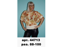 44713 (410-00).jpg