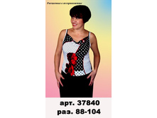 37840(250-00),,,.jpg