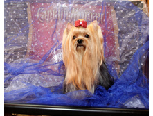 1-IMG_9891.JPG
