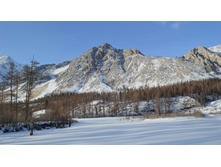 2014-03-06_13.35.17-D3200_cr.jpg