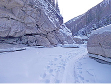 2014-03-08_11.52.34-s30_cr.jpg
