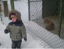 ����� ���� 2012 007.jpg