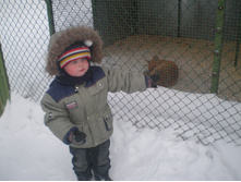 ����� ���� 2012 009.jpg