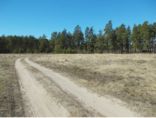 DSCN5176.JPG