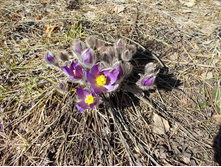 DSCN5177.JPG