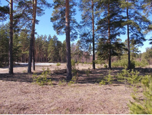 DSCN5179.JPG