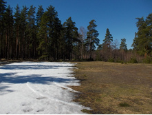 DSCN5181.JPG