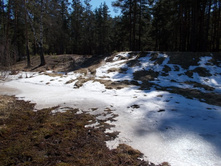 DSCN5183.JPG