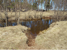 DSCN5184.JPG