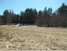 DSCN5186.JPG