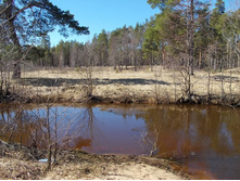 DSCN5188.JPG