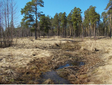 DSCN5189.JPG