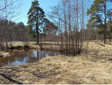 DSCN5190.JPG
