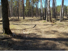 DSCN5194.JPG