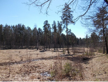 DSCN5195.JPG