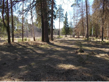 DSCN5197.JPG